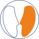logo Spaio Contrada studio di psicologia Sarnico (Bg)